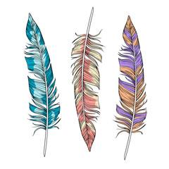Vector set of bright  feathers