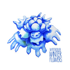 Watercolor  fntasy winter flowers