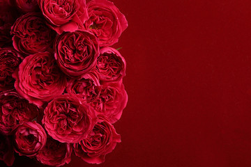 
薔薇