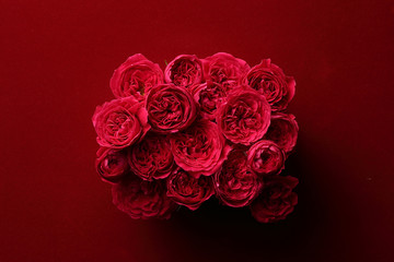 薔薇