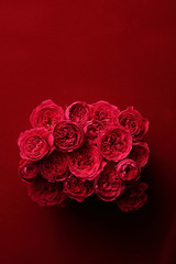 薔薇