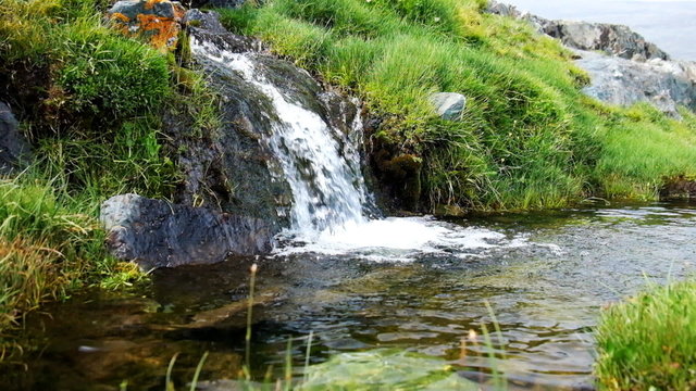 Small stream with fresh cold clear water in Altai mountains
