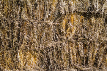 Stack of hay in barn