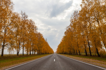 Fototapeta premium Road with fall alley
