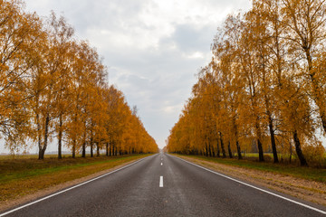 Road with fall alley