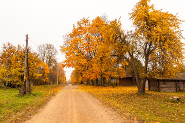 Obraz premium Village street view at fall