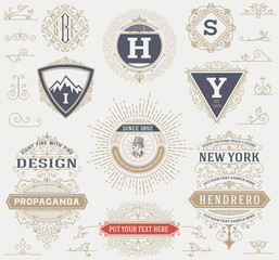 Labels, banners and design elements set. Vector