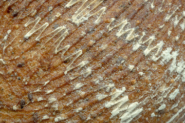 Close up of ecological wheat and rye bread with sesame seeds