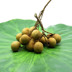 Obraz premium Longan