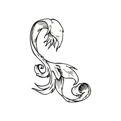 traditional hand drawn floral swirl