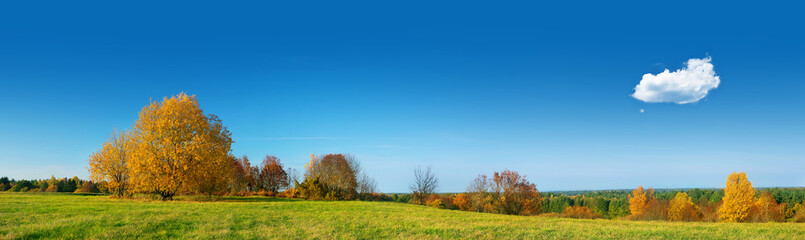 Field panorama on autumnal day