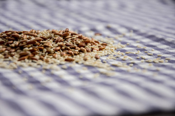 Rice seeds and sesame seeds on a checkered tablecloth