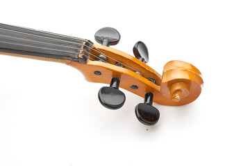 violin on white background