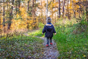Obraz premium Little boy walking through autumnal forest.