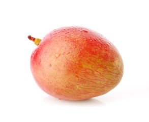 mango fruit