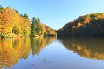 Lake and forest in autumn