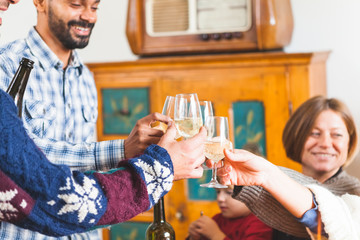 Family Toasting for Christmas Dinner at Home