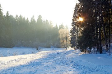 sunrays over fog on river in winter forest
