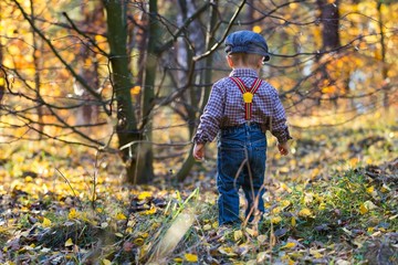 Little boy walking through autumnal forest.