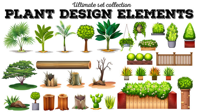 Many kind of plants