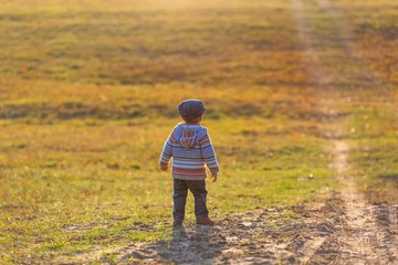 Little boy walking in autumnal landscape