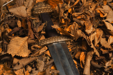 Viking sword against the backdrop of autumn leaves