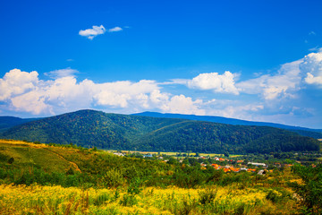 Fototapeta premium green landscape