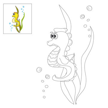 Picture for coloring - sea horse.