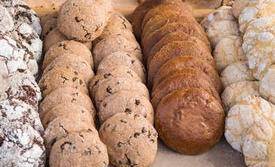 Different types of biscuits. With chocolate, oat, raisins and ginger.