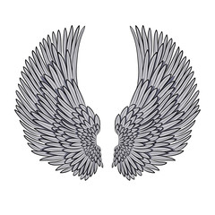 vector pair of angel wings isolated on white