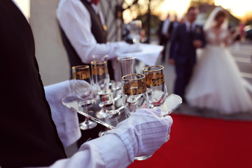 Waiter serving glasses of champagne