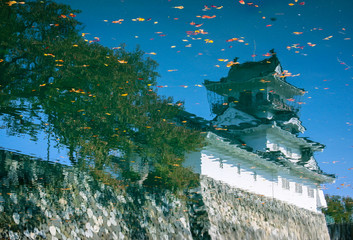 湖面に映える富山城と落ち葉