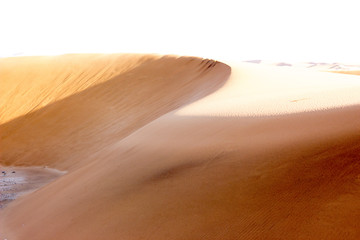 Namib Desert Dune