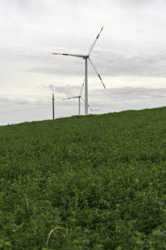 Wind Turbines in Field of wheat and corn. There are several wind turbines in the picture, in a cultivated field.