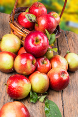 Apples on wooden table over autumn bokeh background