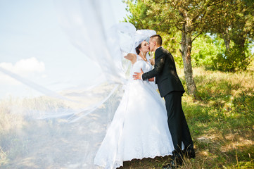 wedding couple on panorama of city and river. bride with long ve