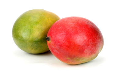 Mango fruit isolated on white background!