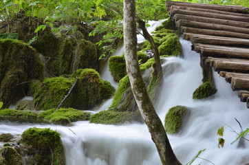 Cascade dans la mousse