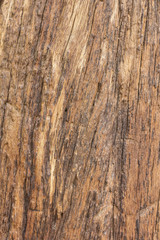 Wood Background