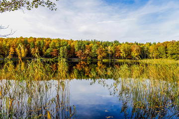 Wunderschöne Herbstlandschaft