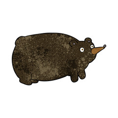 funny cartoon bear
