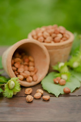 hazelnut on a wooden background outdoors