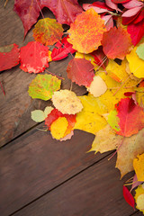 Naklejka na ściany i meble Autumn fall leaves background