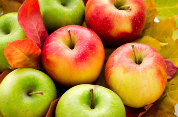 Red and green apples with autumn maple leaves