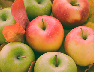 Red and green apples with autumn maple leaves
