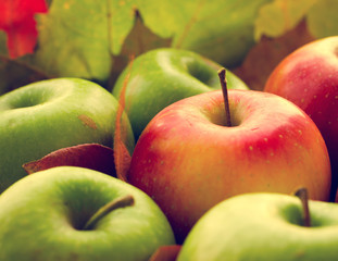 Red and green apples with autumn maple leaves