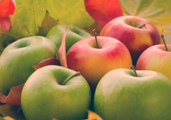 Red and green apples with autumn maple leaves