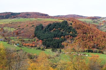 Fototapeta na wymiar paysage auvergnat en automne
