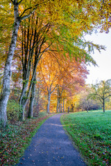 Obraz premium Frankenberger Teichgelände