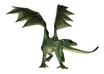 Fototapeta premium Fantasy Dragon